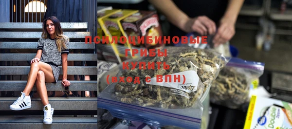 спайс Рославль